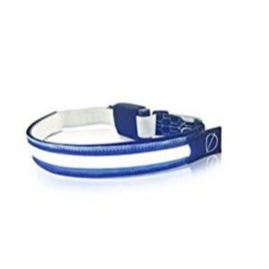 Halo Headlamp